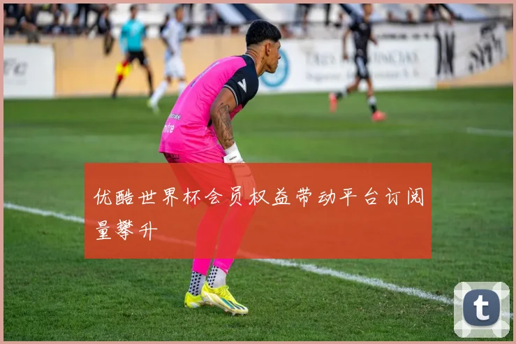 优酷世界杯会员权益带动平台订阅量攀升