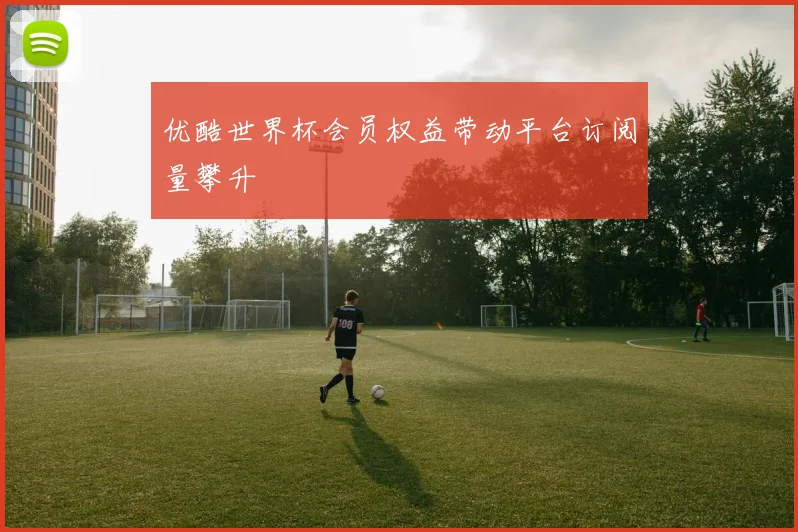 优酷世界杯会员权益带动平台订阅量攀升