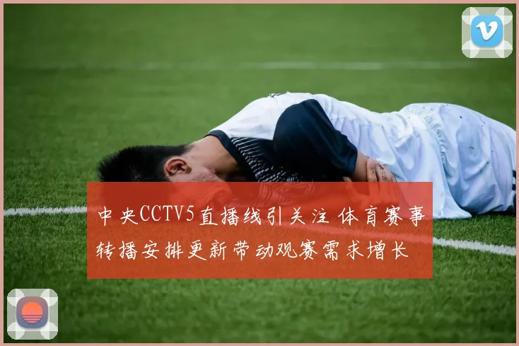 中央CCTV5直播线引关注 体育赛事转播安排更新带动观赛需求增长