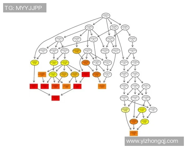 广州排球队选拔赛表现分析与状态评估全面解读